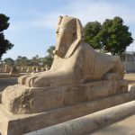 Gallery Thumbnail 10